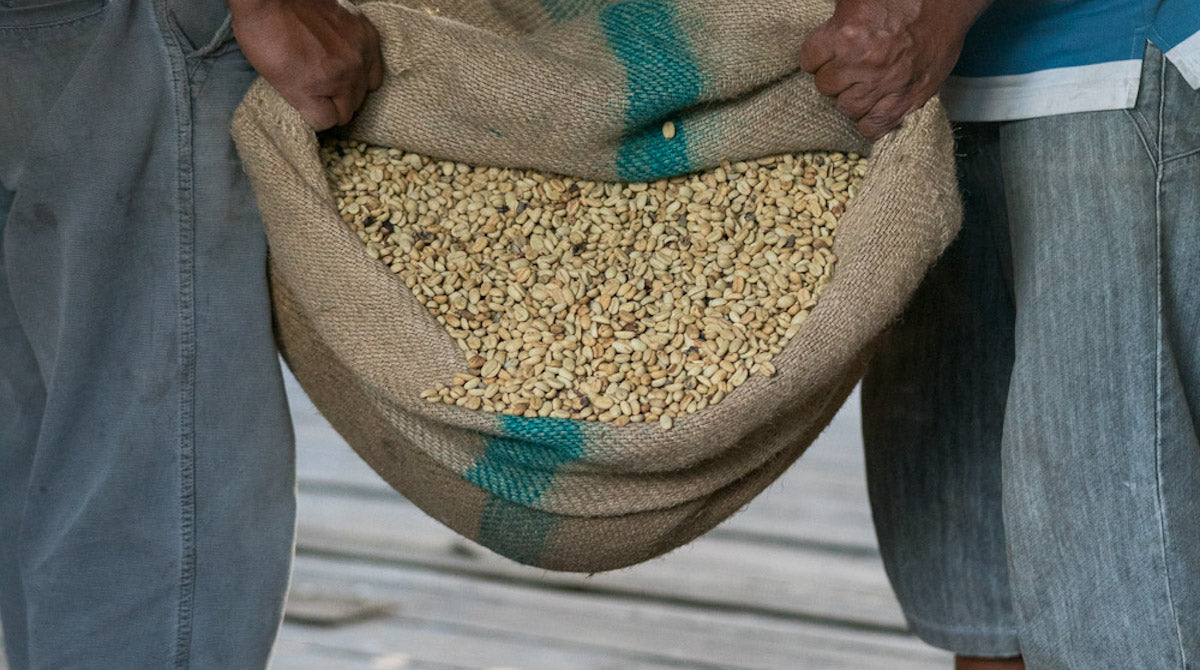 The Wet Hulled Process: Unveiling the Boldness of Indonesian Coffee